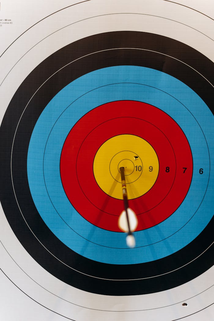 stats-img An arrow perfectly hits the bullseye of a multicolored archery target, highlighting precision and accuracy.